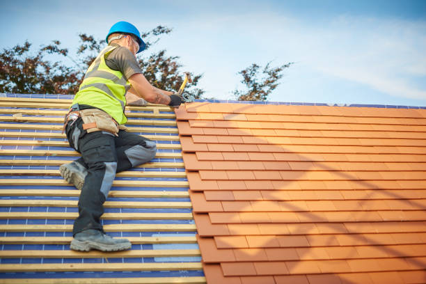 Best Wood Shake Roofing  in Nederland, TX
